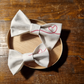 "Padre e figlio" i papillon coordinati