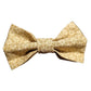 PAPILLON BIMBO