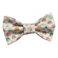 PAPILLON BIMBO