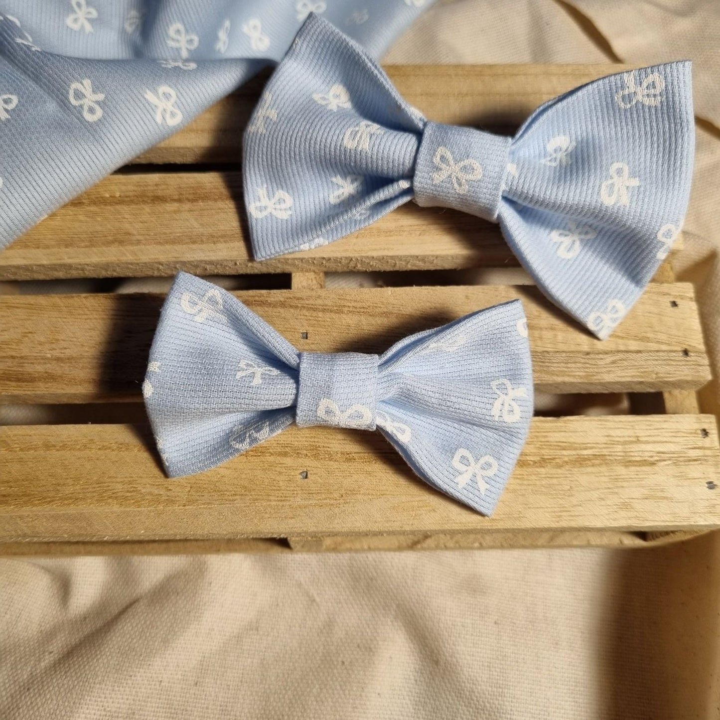 Papillon padre e figlio, cravattino adulto e bambino